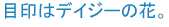 目印はデイジーの花