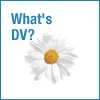 DVとは何か?
