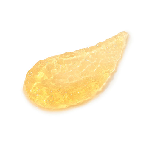 EDW oEVBWF[~Xg (~Xgetj