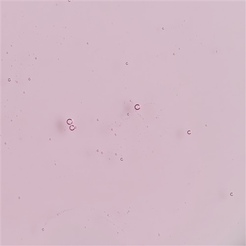 【数量限定】シャワージェル クランベリー