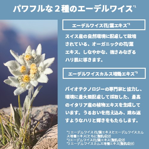 EDW CeXN[ (WێN[)