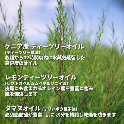 TT スキンクリアリング フェイス ウォッシュ(洗顔料)｜ THE BODY