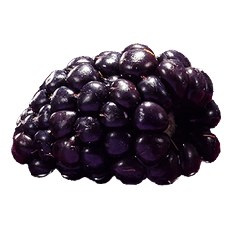 �f���[�x���[