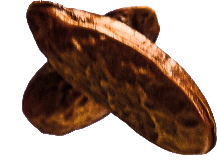 �e���_�[�g���J