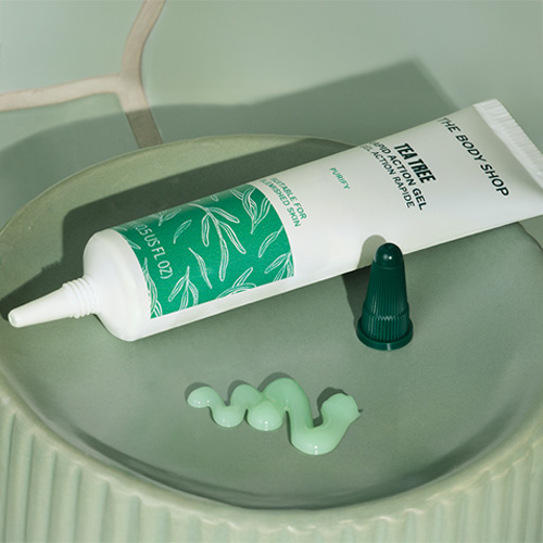 TT ���s�b�h�W�F�� �L�[�r�W���A��