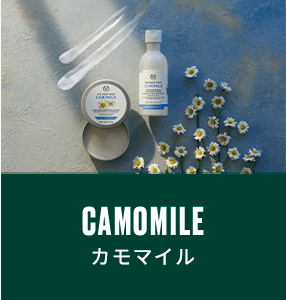 CAMOMILE J}C