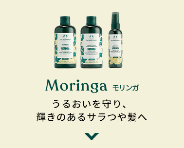 Moringa K 邨AP̂T┯