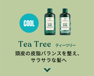 Tea Tree eB[c[ ̔玉oX𐮂ATTȔ