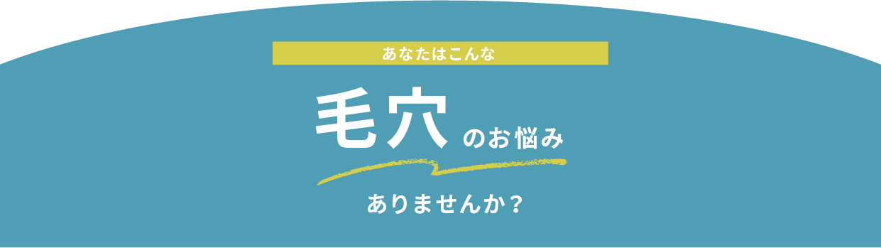あなたはこんな 毛穴のお悩みありませんか?