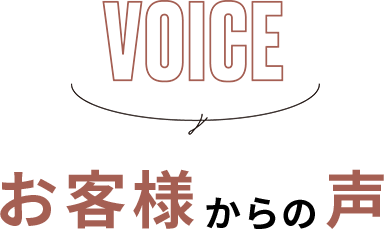 VOICE - ql̐