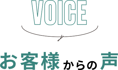 VOICE - ql̐