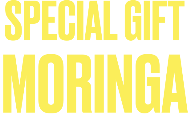 SPECIAL GIFT MORINGA
