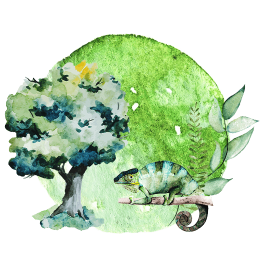 木