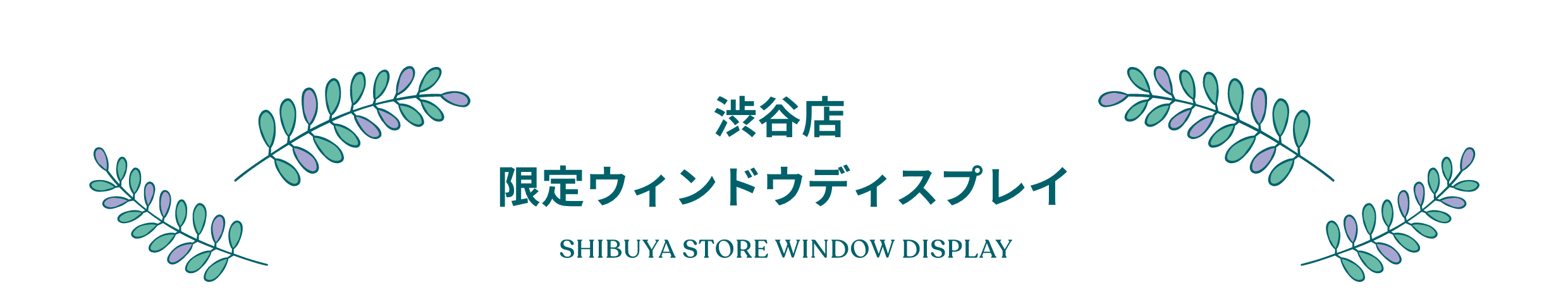 �a�J�X ����E�B���h�E�f�B�X�v���C SHIBUYA STORE WINDOW DISPLAY