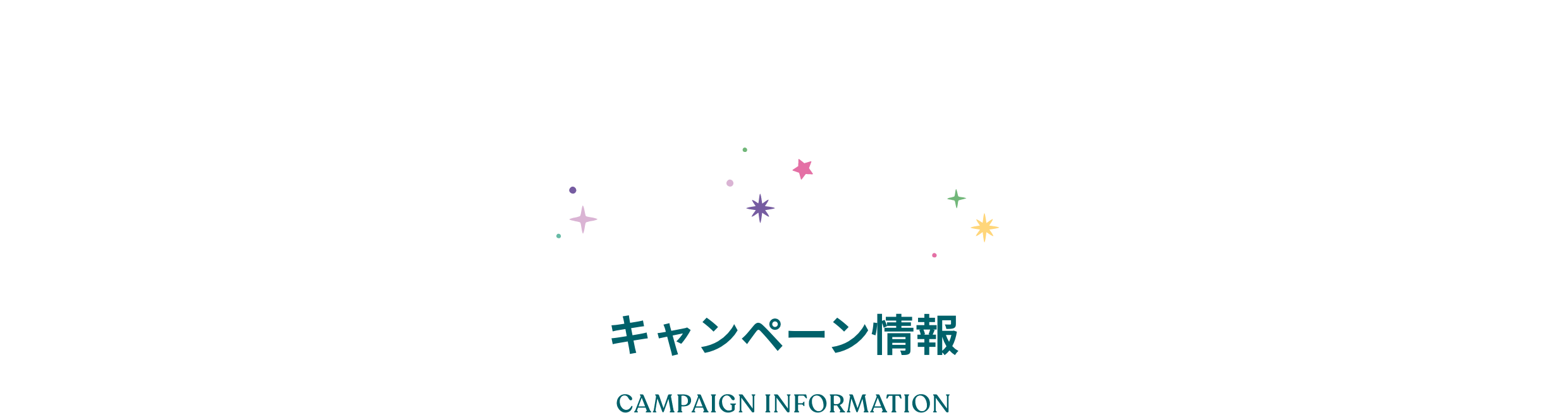 �L�����y�[����� CAMPAIGN INFORMATION