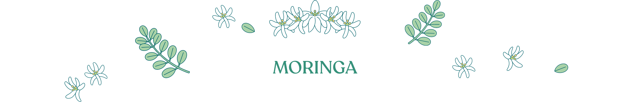 MORINGA
