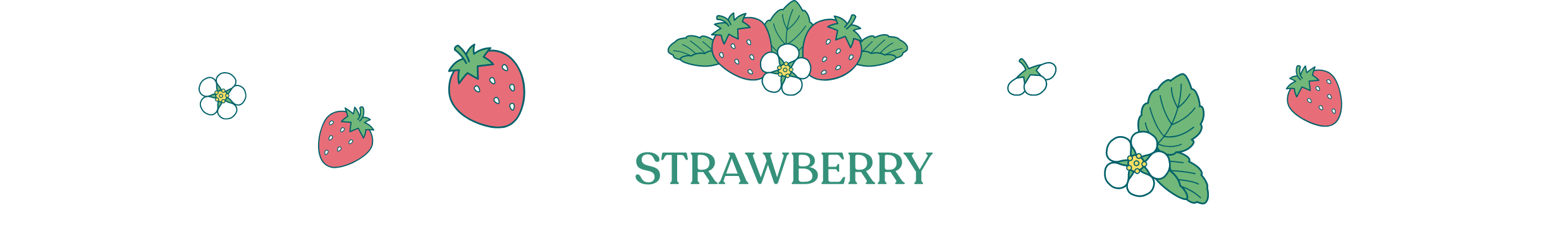 STRAWBERRY