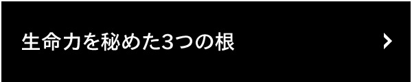 ͂߂3̍