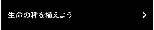 ̎A悤