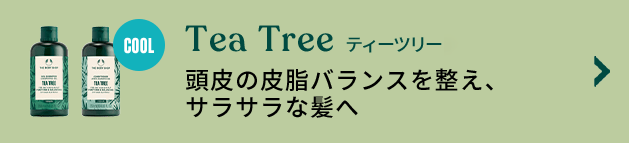 Tea Tree eB[c[ ̔玉oX𐮂ATTȔ