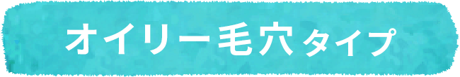 オイリー毛穴タイプ