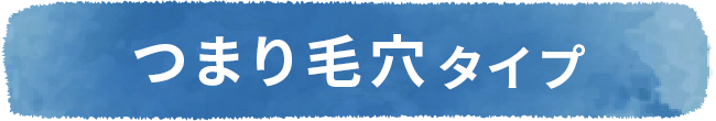 つまり毛穴タイプ