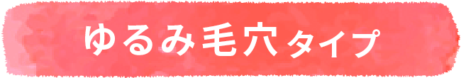 ゆるみ毛穴タイプ