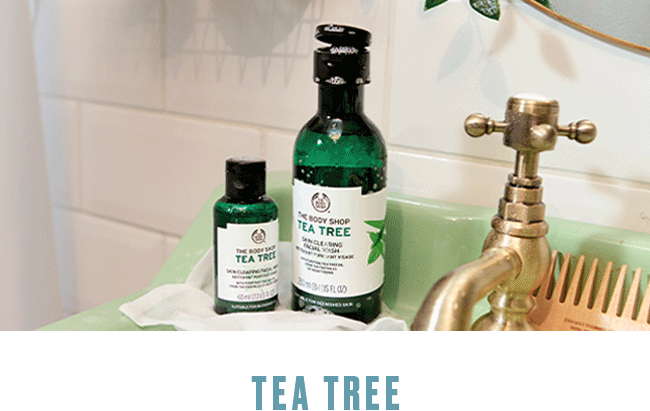 TEA TREE