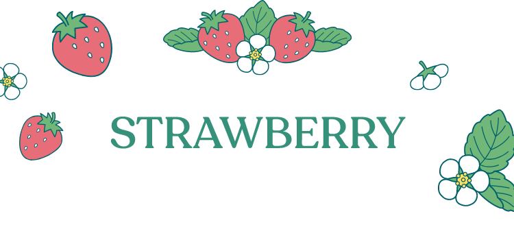 STRAWBERRY
