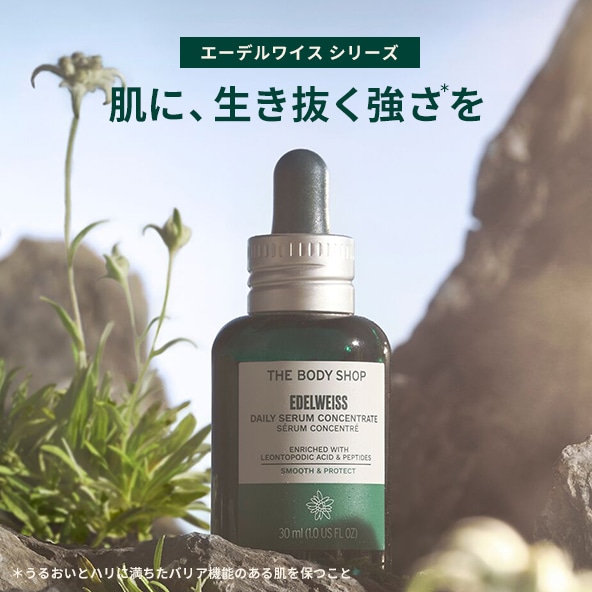ボディショップ（THE BODY SHOP）　ボディローション　セット 楽天市場 | ザボディショップ 楽天市場店 - 自然派化粧品